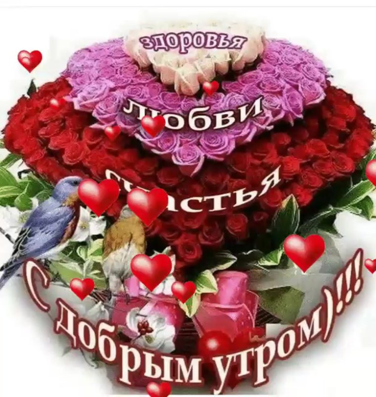 Позитивные пожелания на день