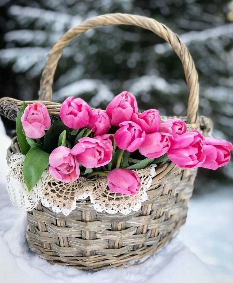 Доброк УТРАИ благославенного дн