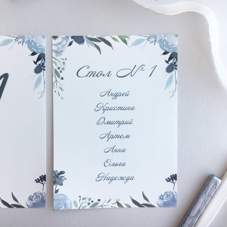 План рассадки голубой