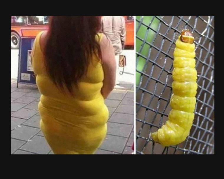 Твой любимый мотылек в твоих глазах станет обычной