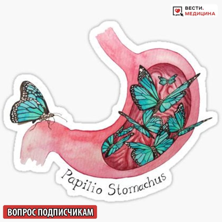 Бабочка на женском теле