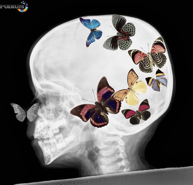 Бабочки в животе