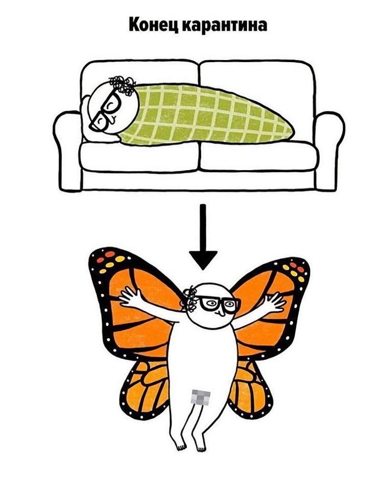 Рисунки для срисовки бабочки в животе