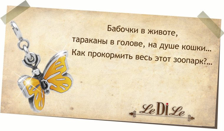 Бабочки в животе тараканы в голове