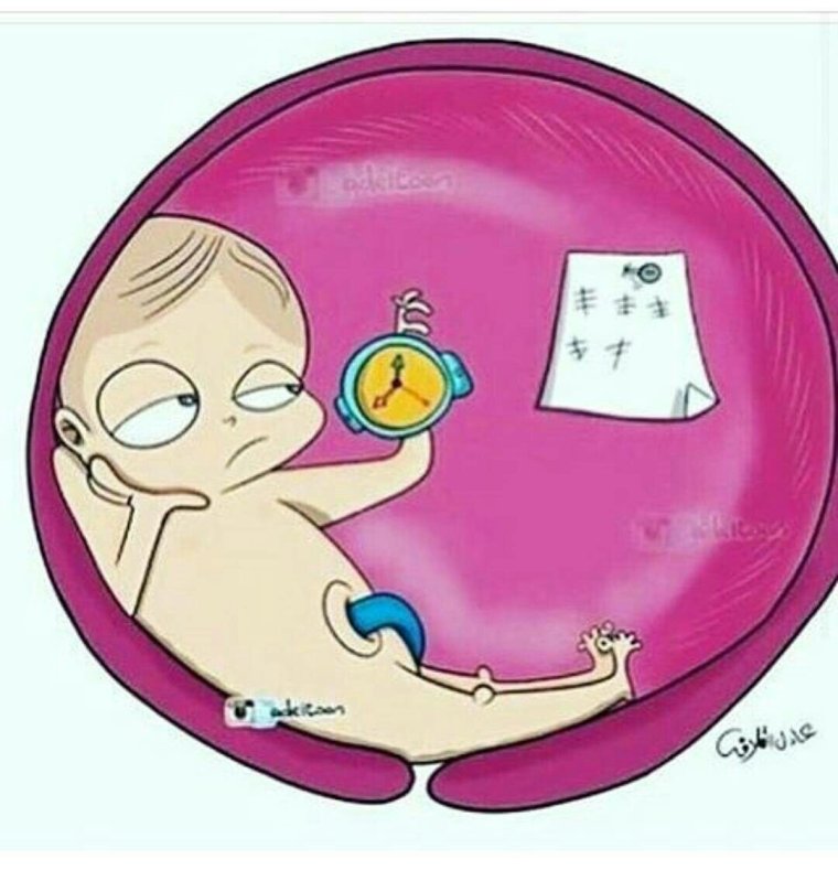 Бабочки в животе