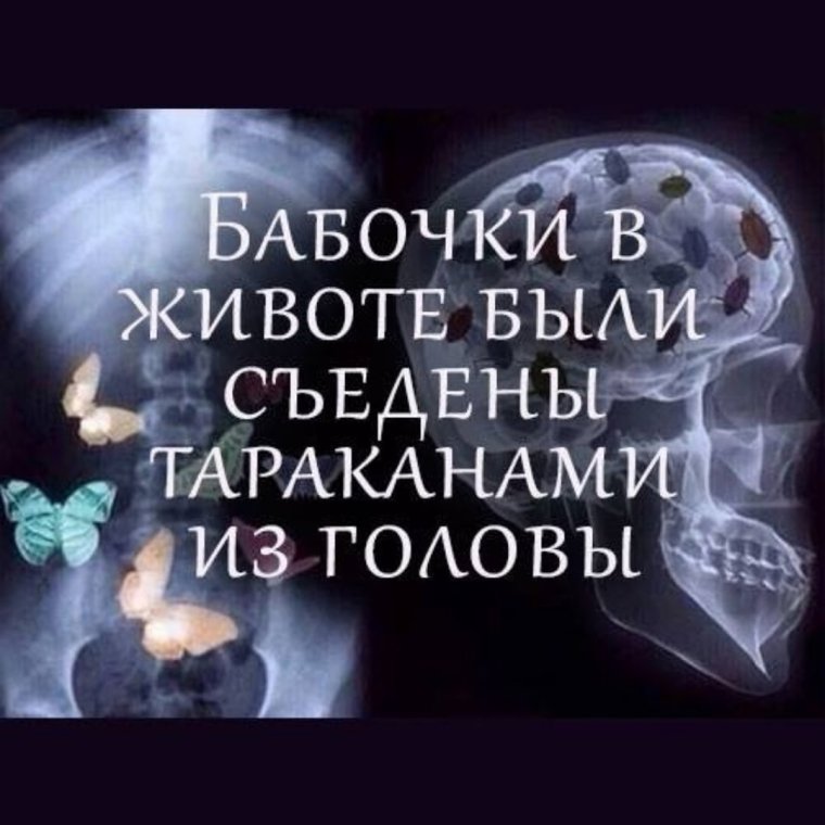 Бабочки в животе тараканы в голове
