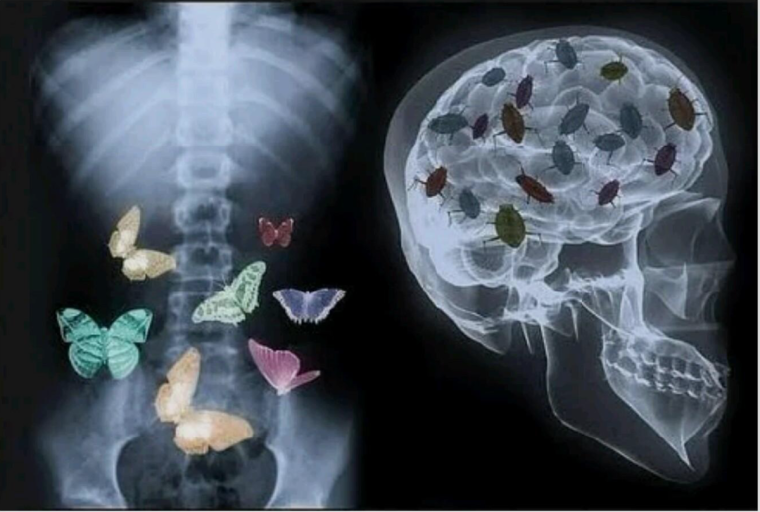 У меня от тебя бабочки в животе