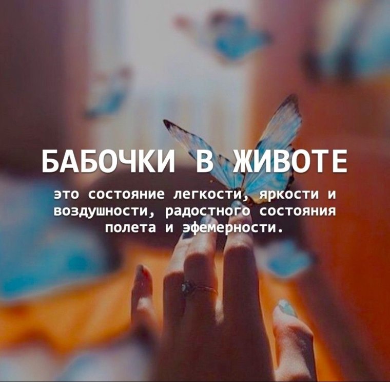 Высказывания про бабочек в животе