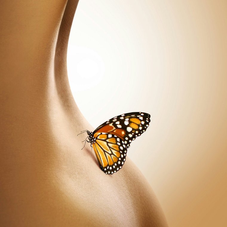 Бабочки в животе стихи