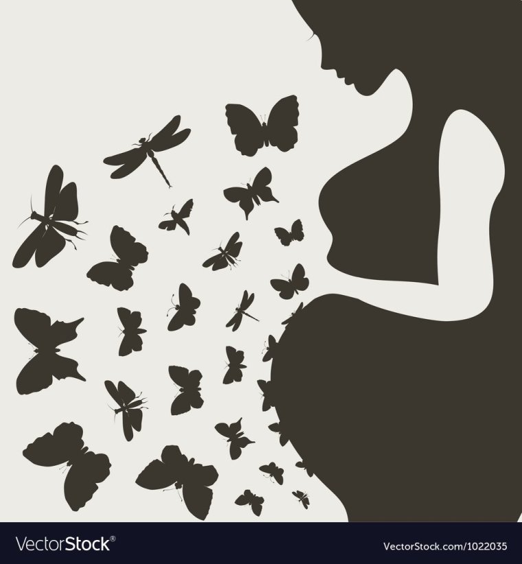 Высказывания о бабочках