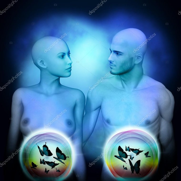 Бабочки внутри