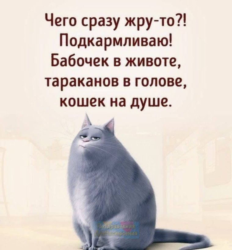 Бабочки в животе