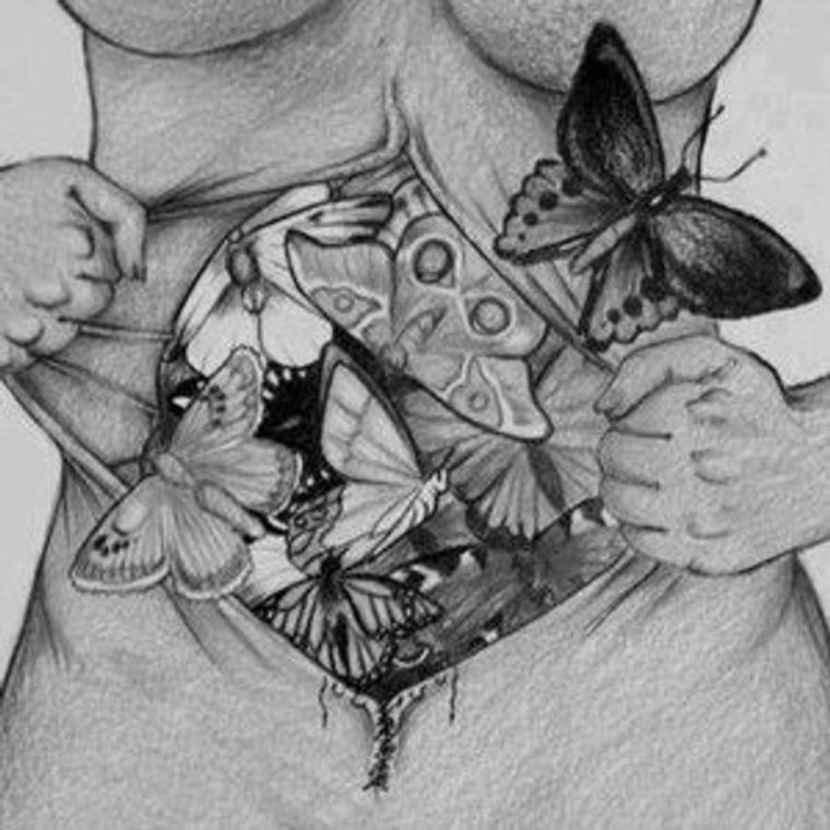 Птицекрылка королевы Александры бабочка