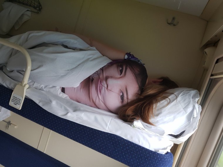 Купе с животными в поезде