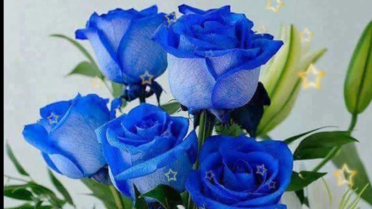 Туган конен БН фото