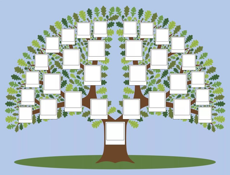 Семейное дерево