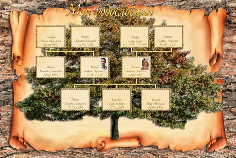 Красивые элементы для родословной