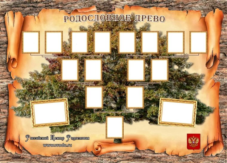 Шежере родословная