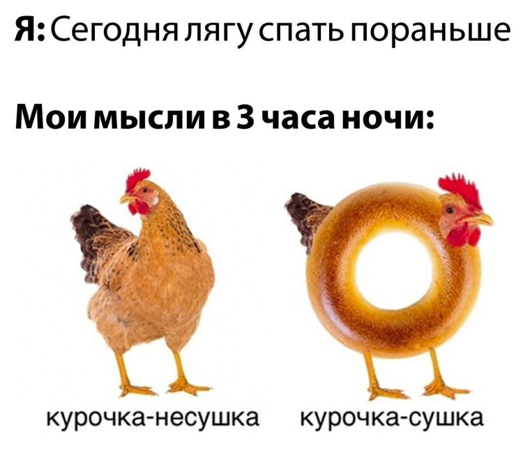 Поставил варить курицу