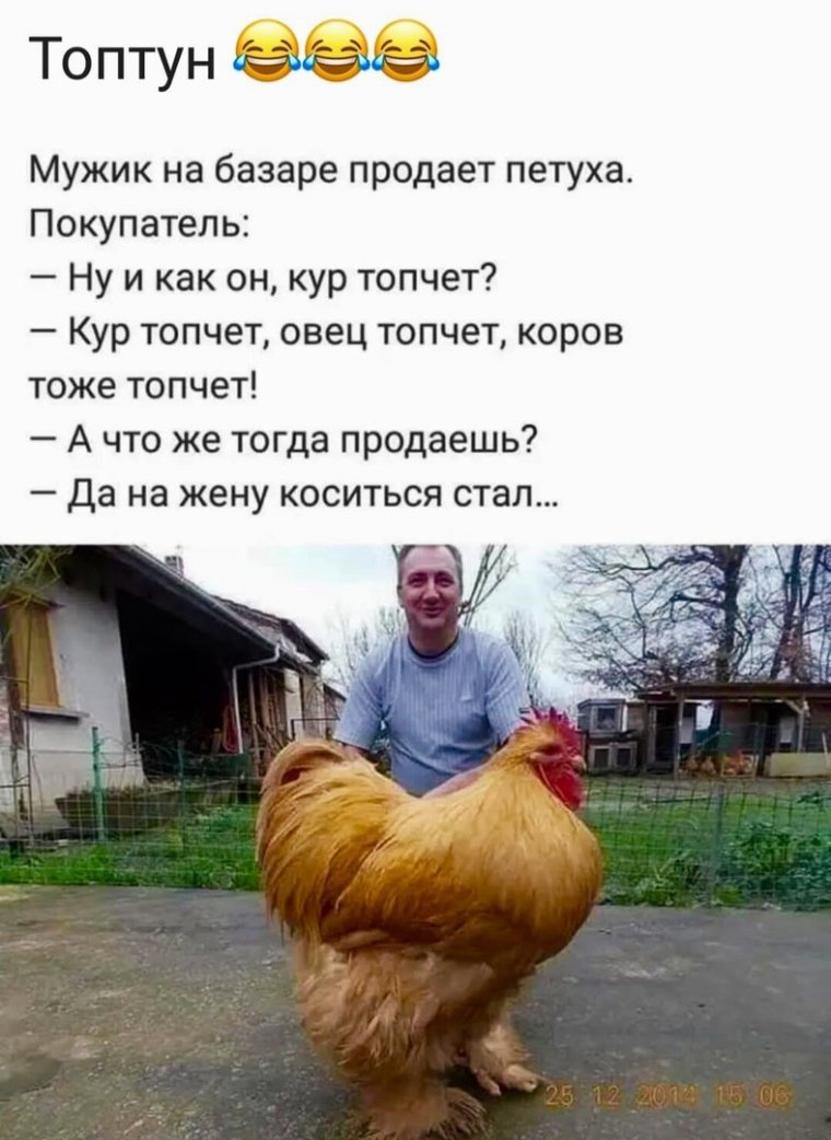 Курочка по зернышку клюет