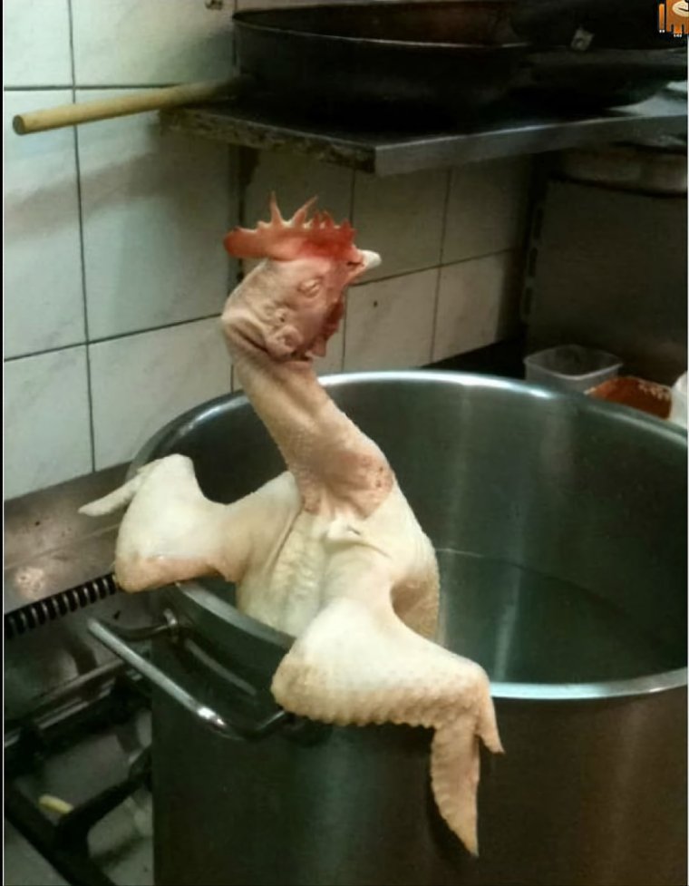 Спроси у своих куриц Мем