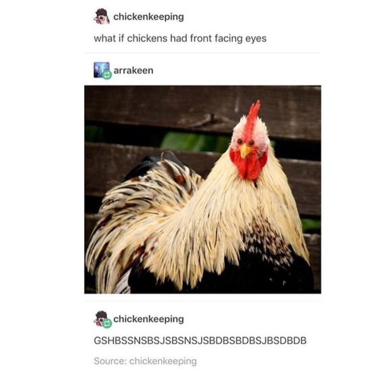 Даня петухов