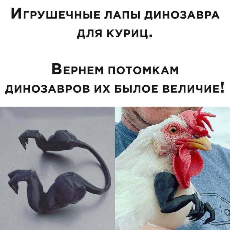 Мемы с курицей