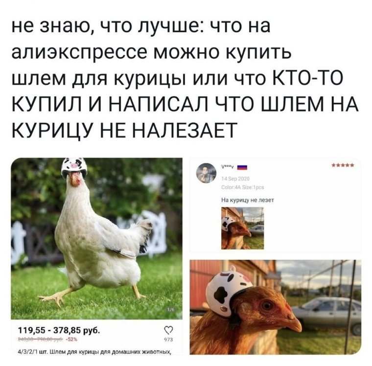 Прикольная курица