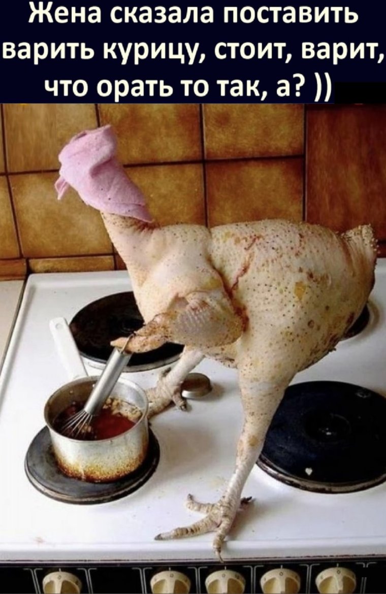Жена сказала поставить варить курицу