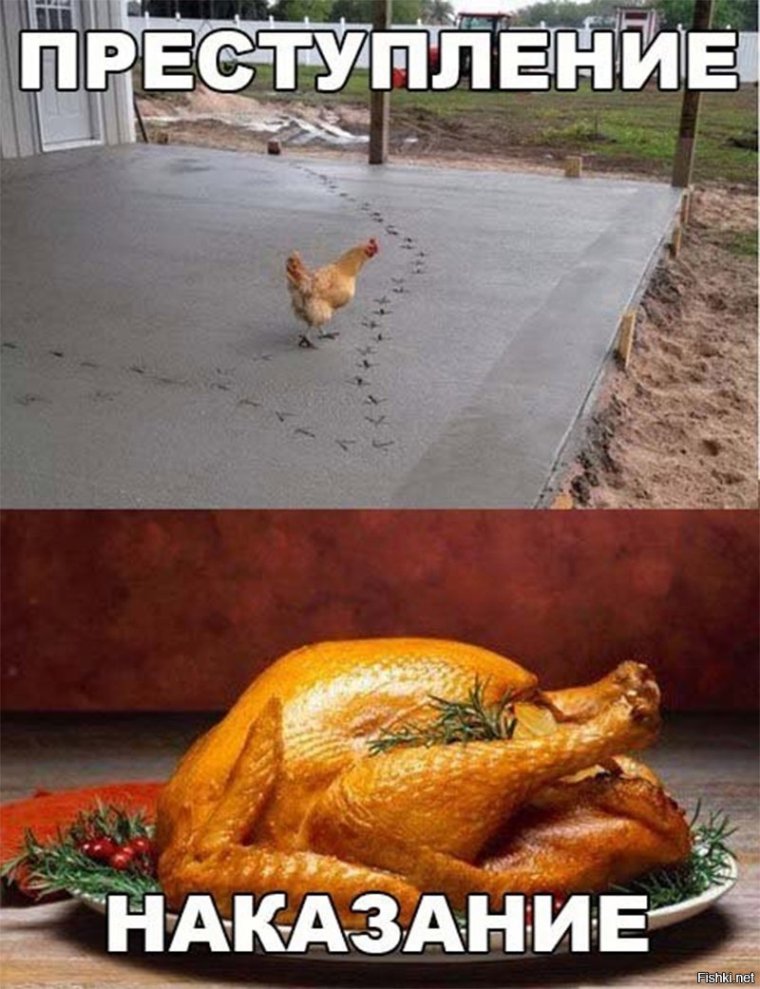 Два петуха дерутся