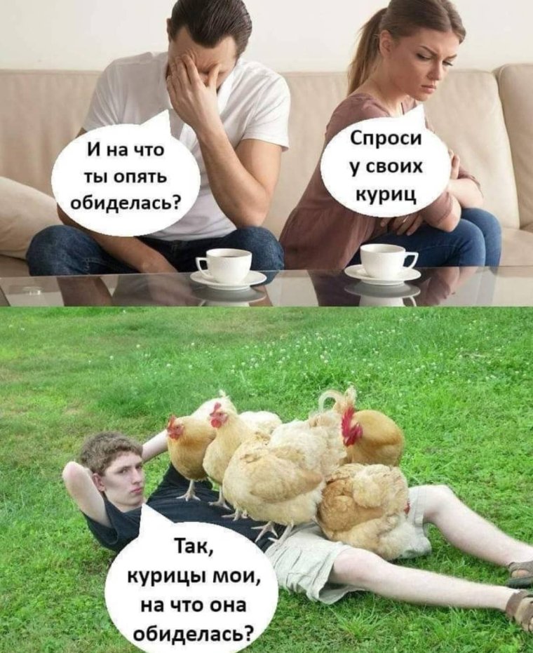 Петух демотиватор