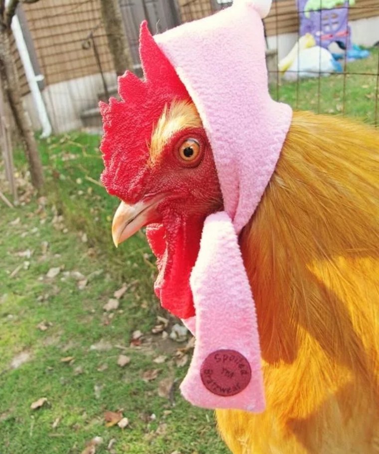 Смешная жареная курица