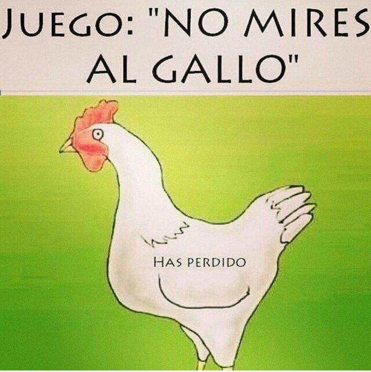 Смешные куры