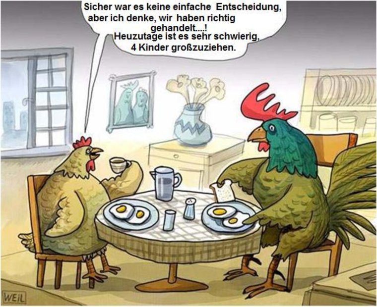 Кот домосед