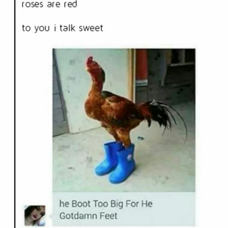 Курица с хвостиком на голове