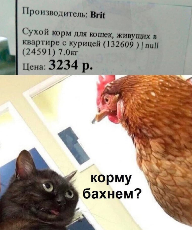 Женщина до брака и после