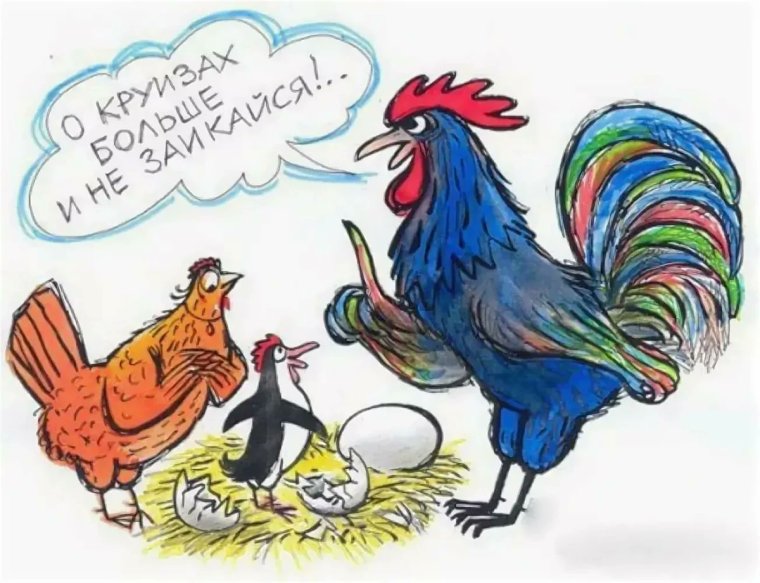 Петух в курятнике