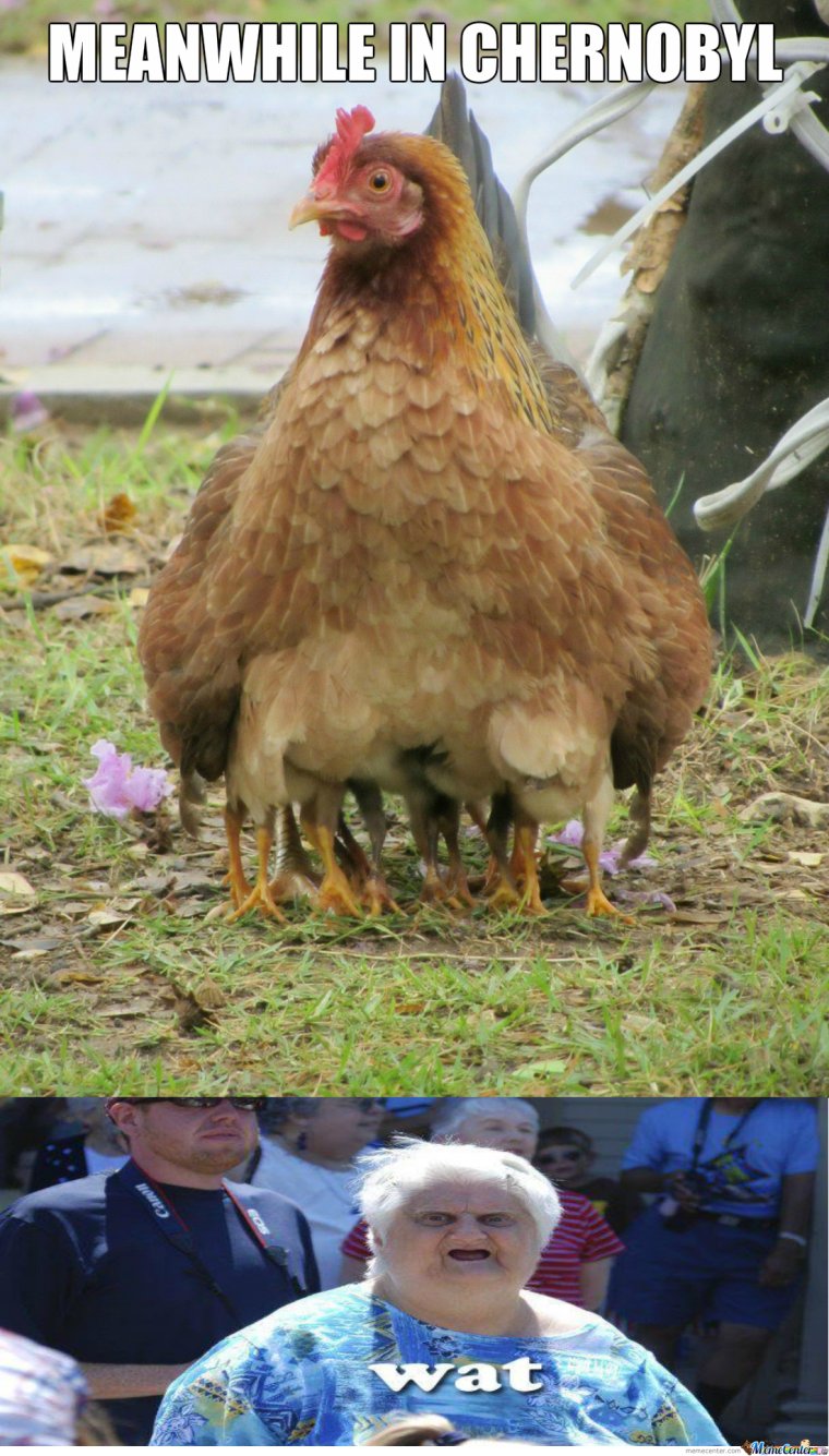 Смешные ценники до слез