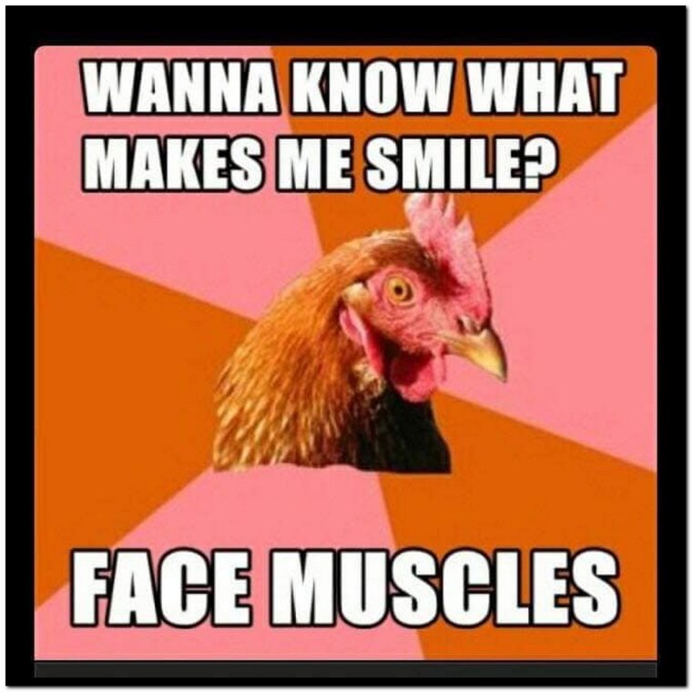 Прикольные мемы