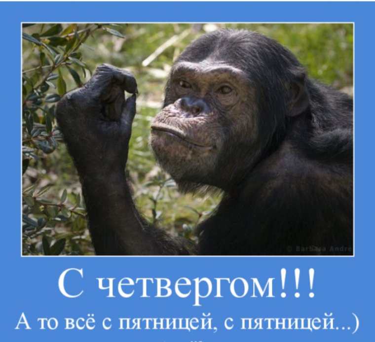 Цитаты про четверг смешные