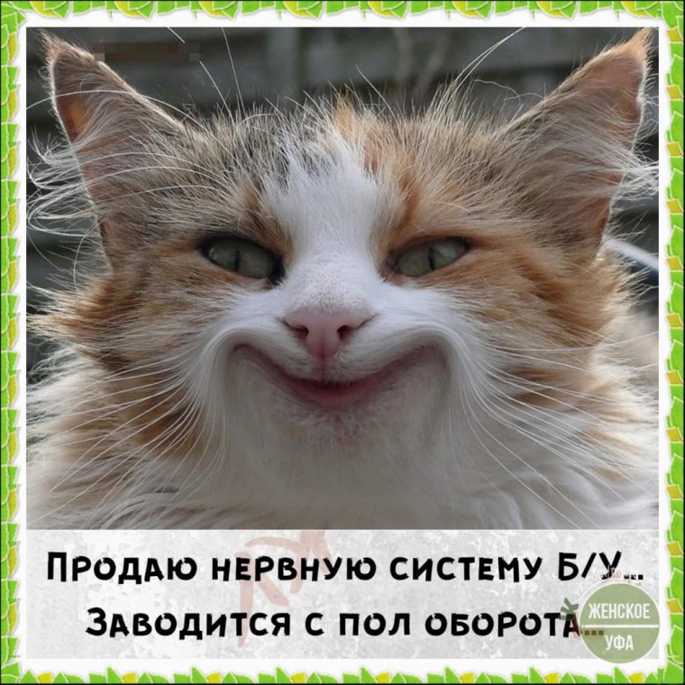 Ура скоро пятница