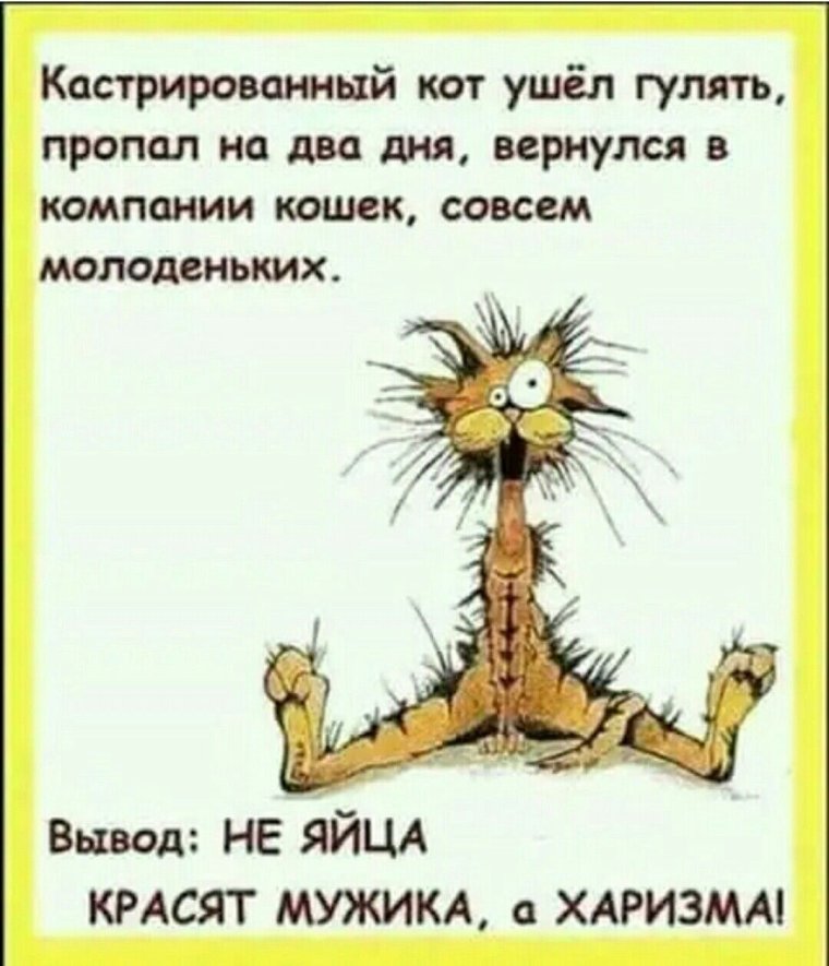 Завтра вторник