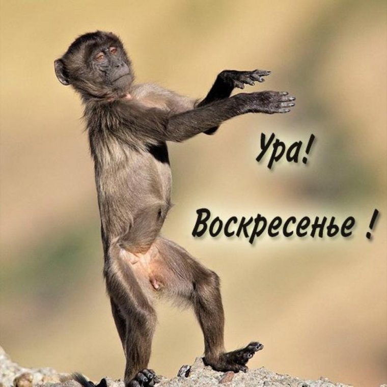 Ирина Зенюк картины