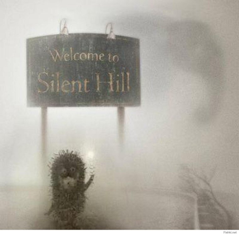 Ежик в тумане Silent Hill