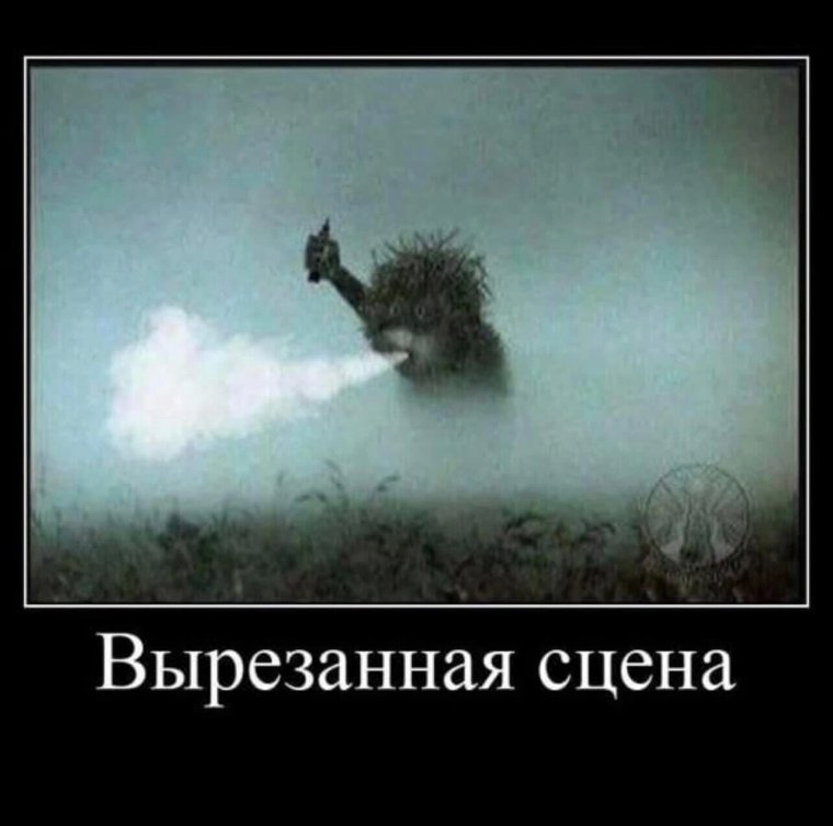 Ёжик в тумане прикольные