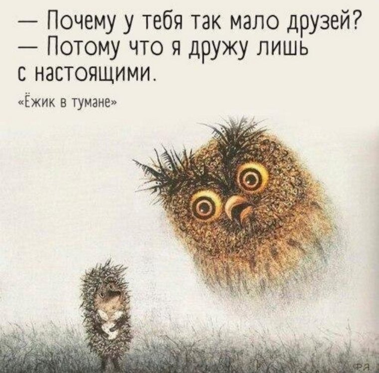 Ежик в тумане