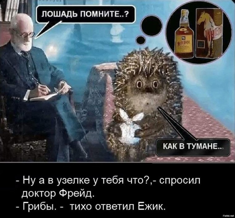 Доктор Фрейд и Ёжик в тумане
