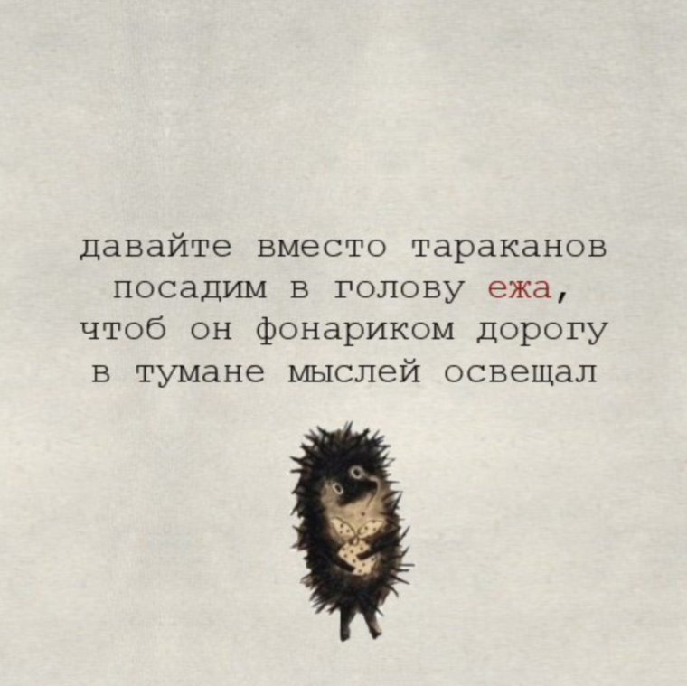 Анекдот про ежика