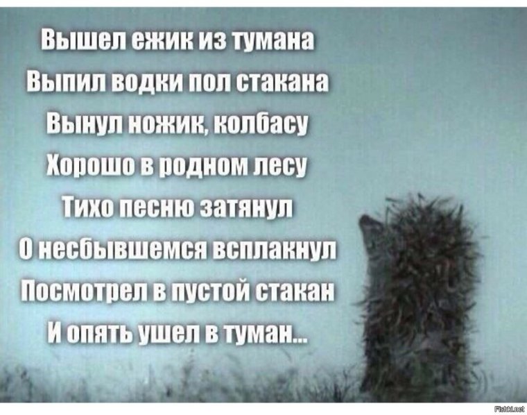 Разочарован жизнью еж