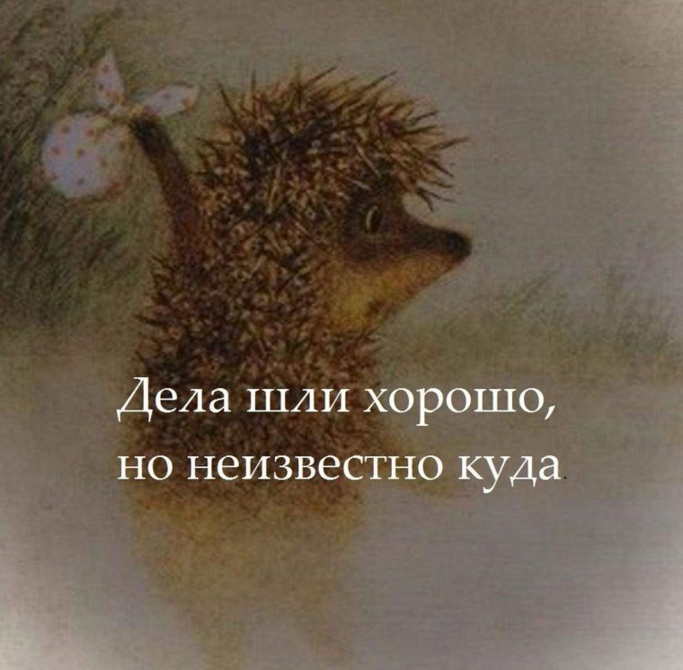 Ежик в тумане сайлент Хилл